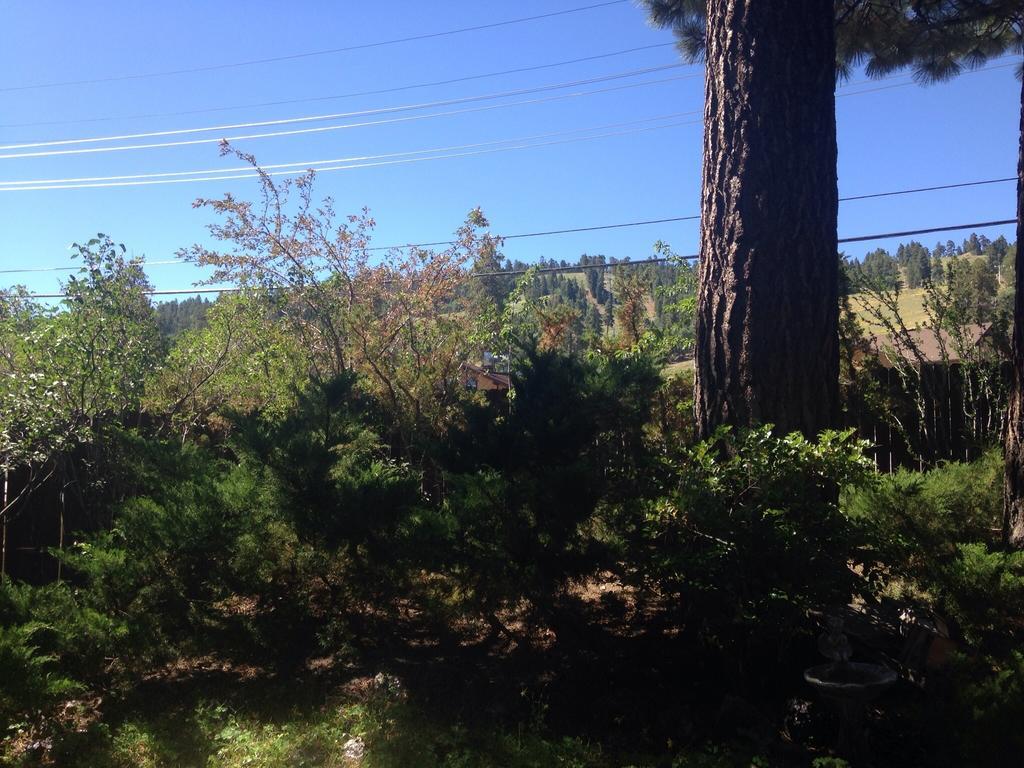 Switzerland Haus Bed And Breakfast Inn Big Bear Lake Buitenkant foto